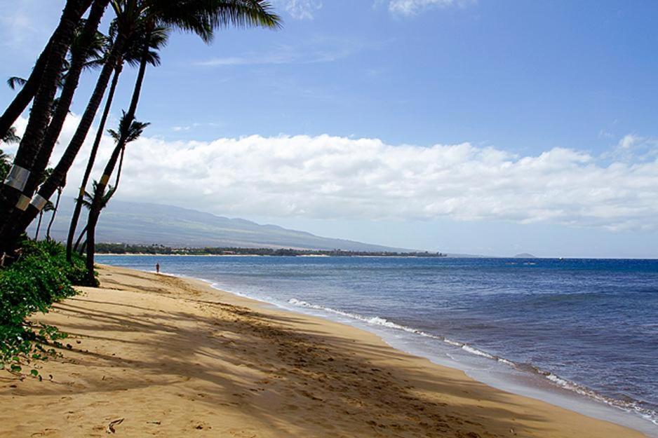 Kealia Resort 203 Kihei Exterior foto