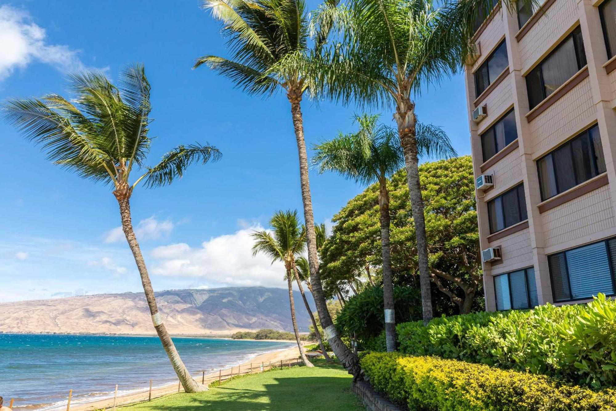Kealia Resort 203 Kihei Exterior foto